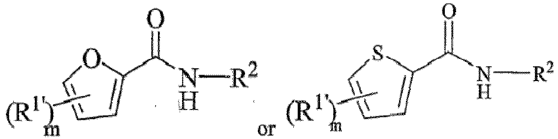 Figure imgb0502