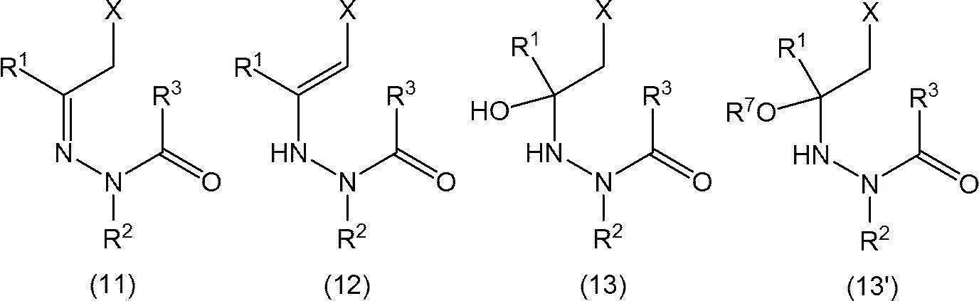 Figure JPOXMLDOC01-appb-C000013