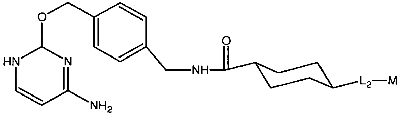 Figure imgb0031