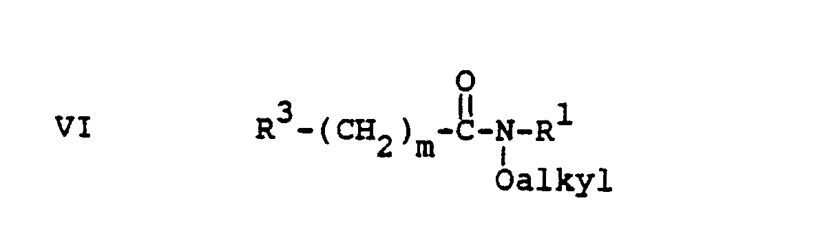 Figure imgb0024