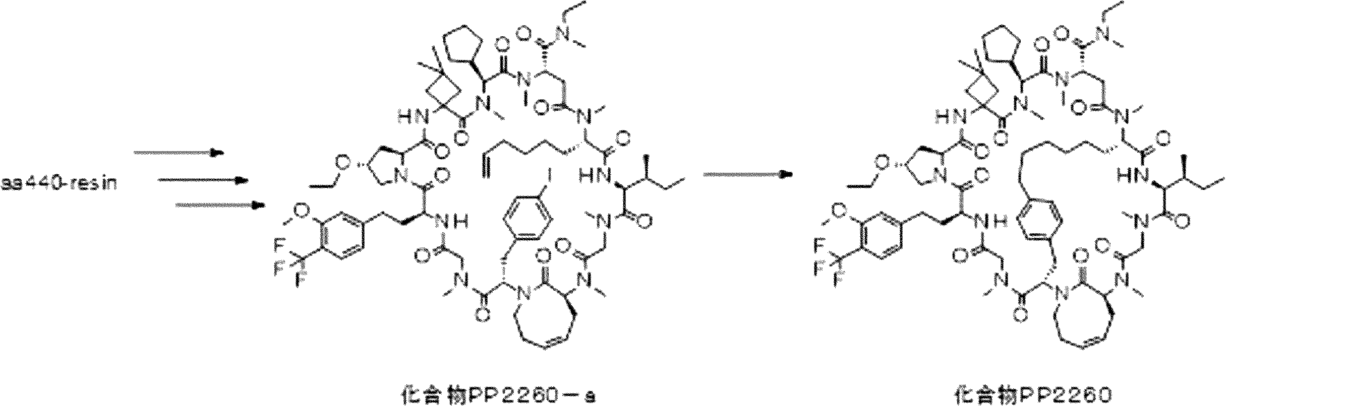 Figure JPOXMLDOC01-appb-I000439