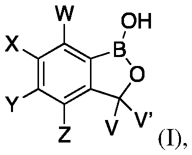 Figure imgf000028_0001