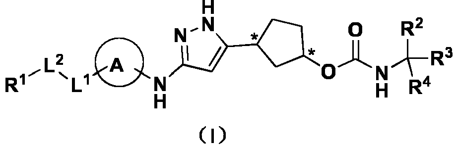 Figure imgb0001