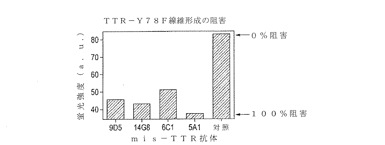 Jp2019530427a 抗トランスサイレチン抗体 Google Patents