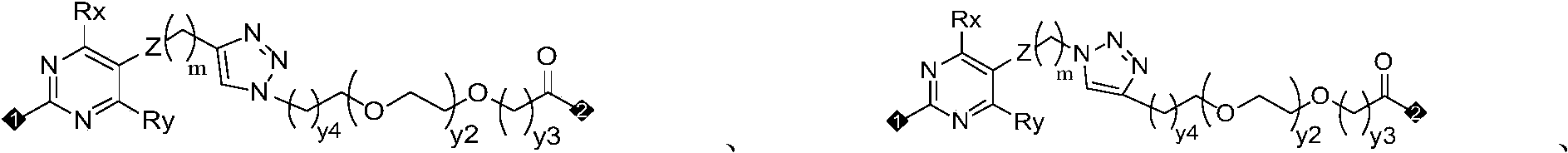 Figure PCTCN2022073822-appb-100014