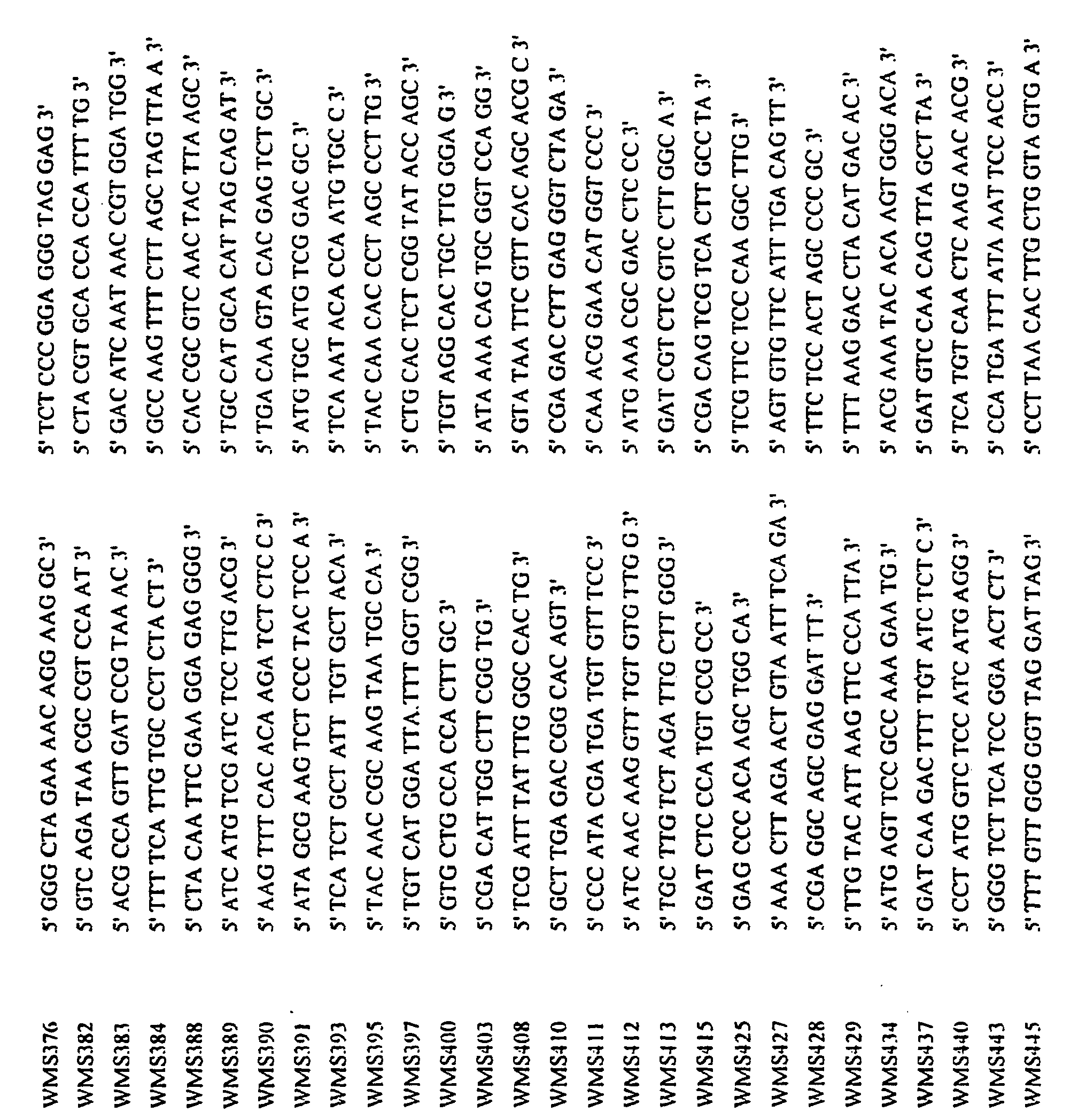Figure 00240001