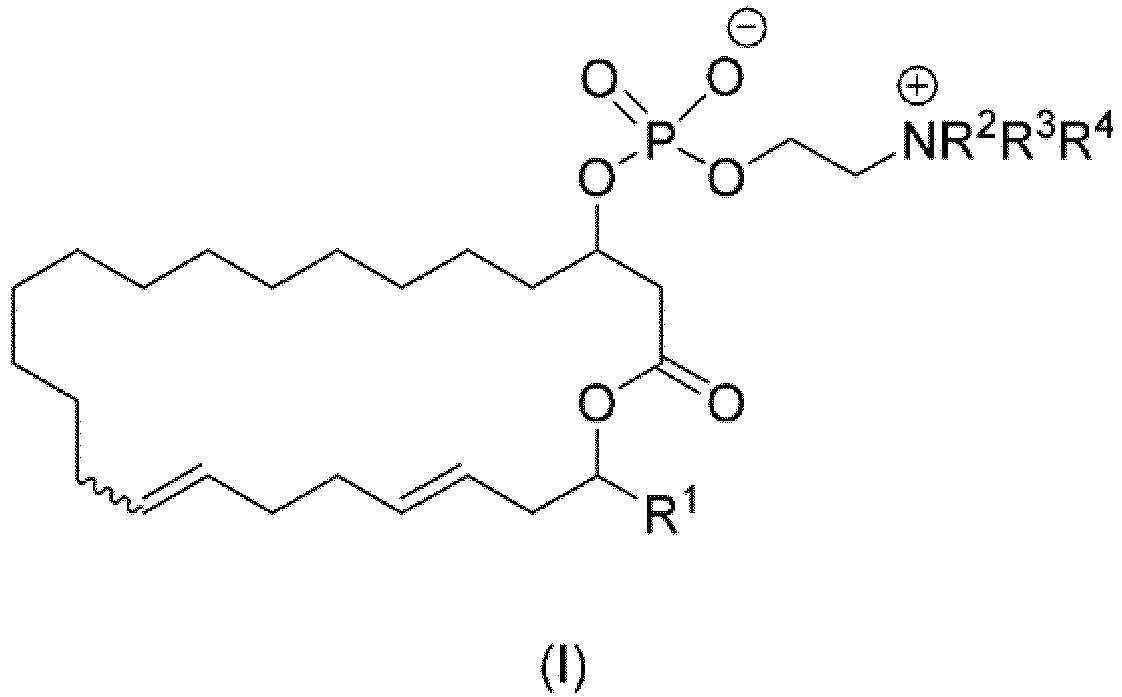Figure imgb0040
