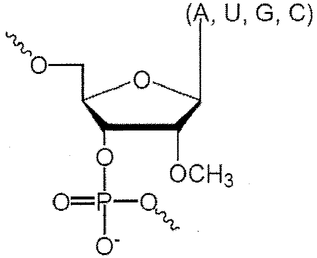 Figure imgb0019