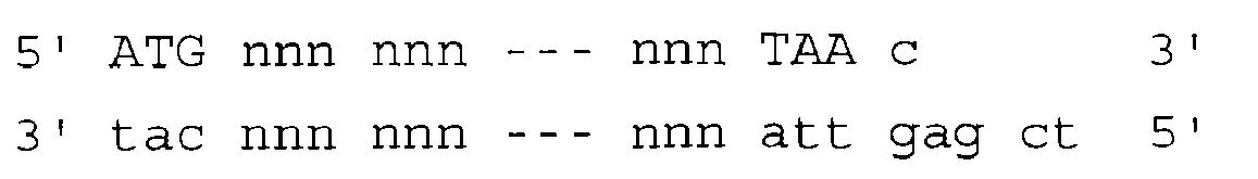 Figure imgb0009