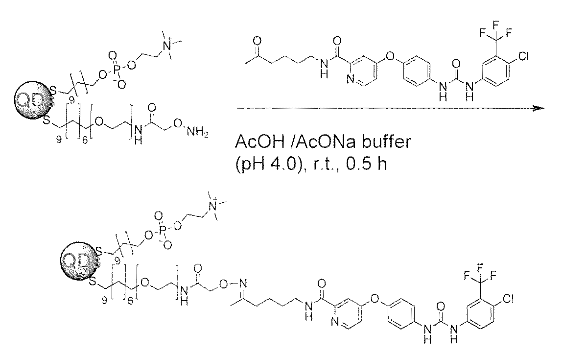 Figure JPOXMLDOC01-appb-C000046