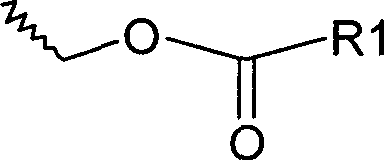 Figure A2006100239910003C5
