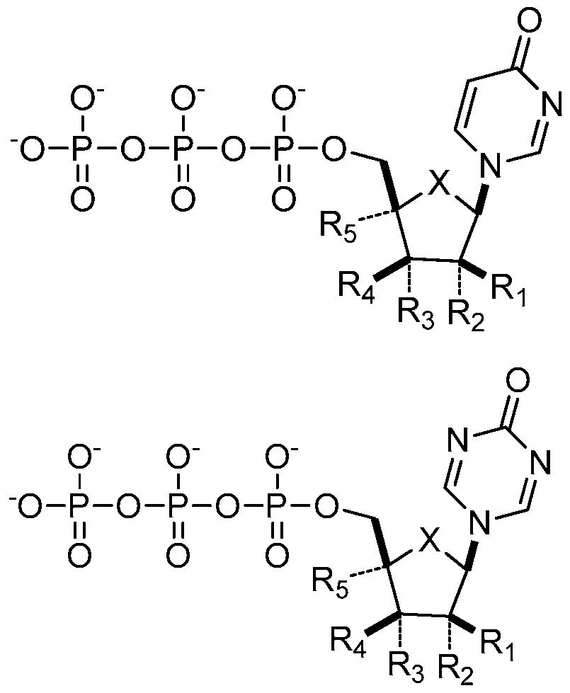 Figure imgf000014_0004