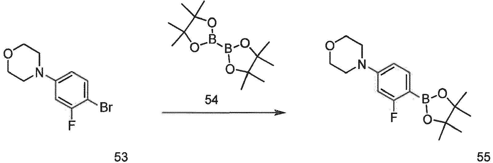 Figure imgb0258