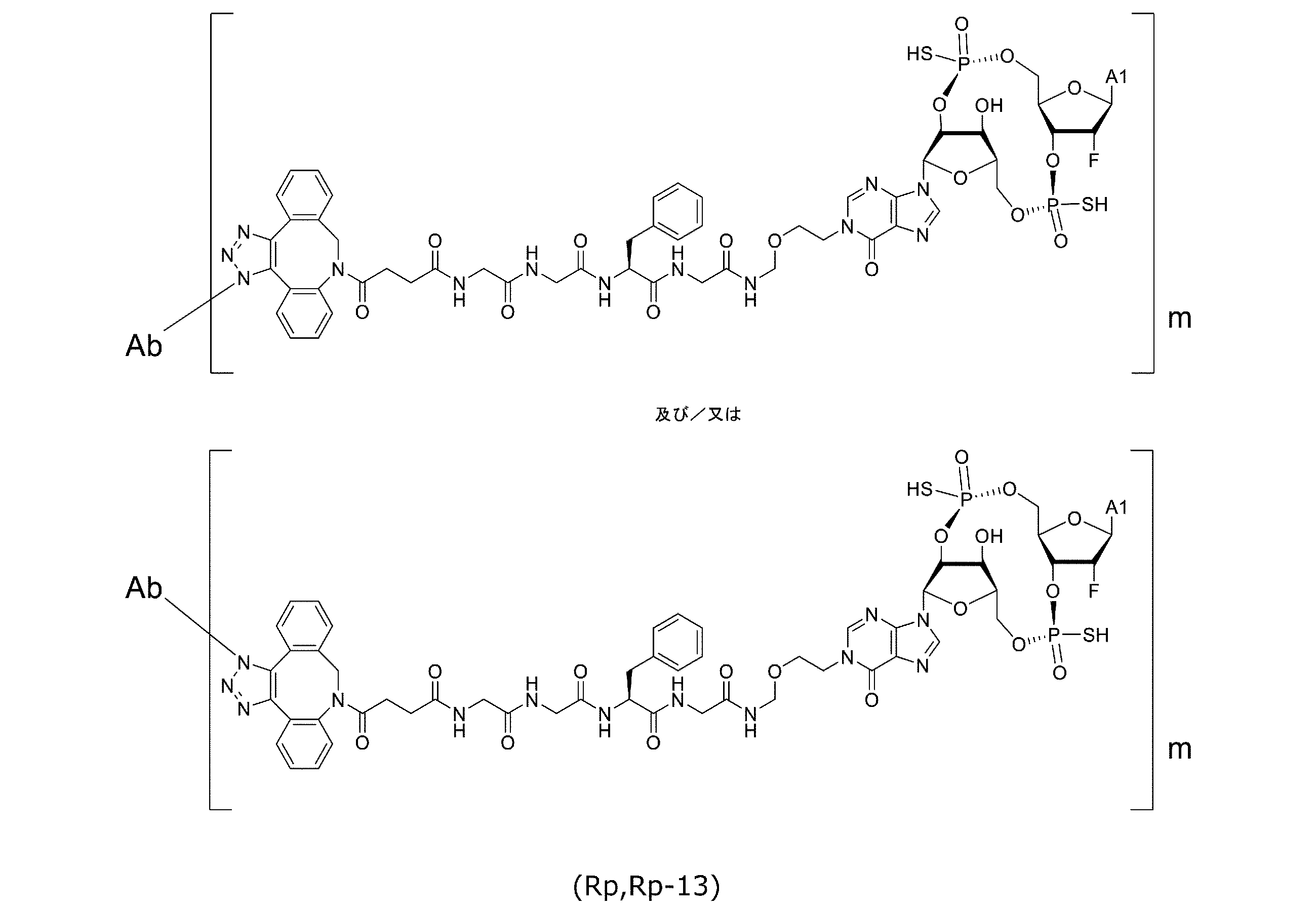 Figure JPOXMLDOC01-appb-C000048