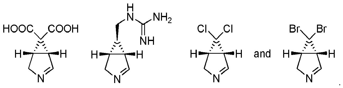 Figure imgb0128