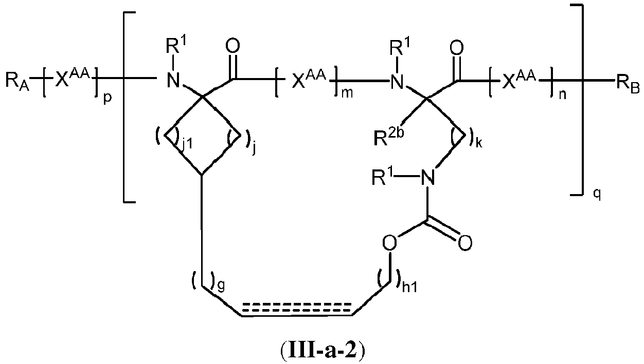 Figure imgb0119