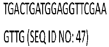 Figure imgb0016