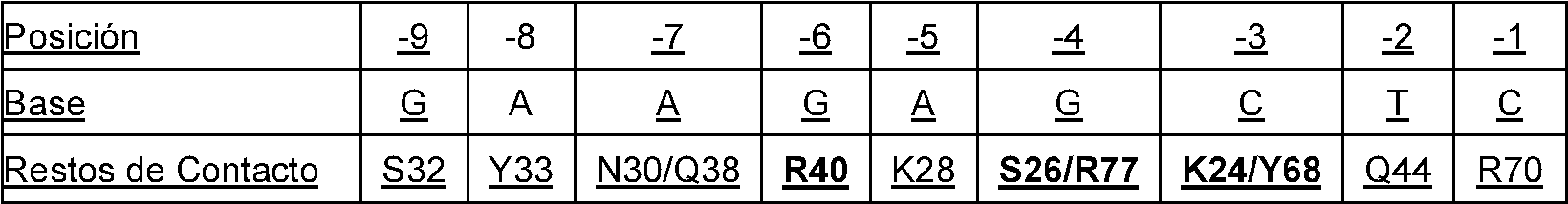 Figure imgf000021_0001