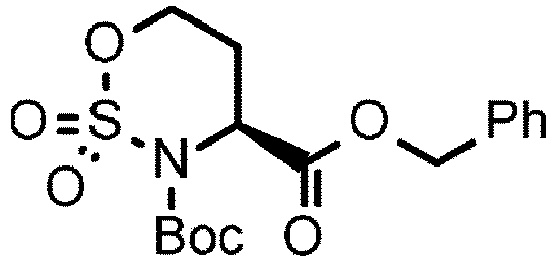 Figure imgb0101