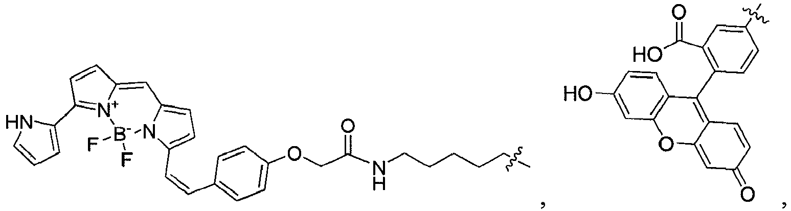 Figure imgb0215