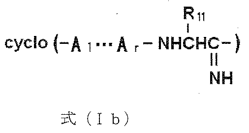Figure JPOXMLDOC01-appb-C000027