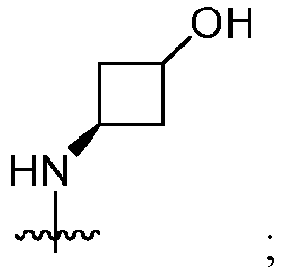 Figure imgb0004