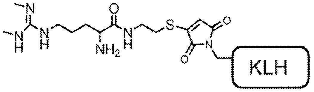 Figure imgf000030_0001