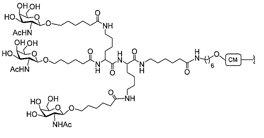 Figure 2022017514000351