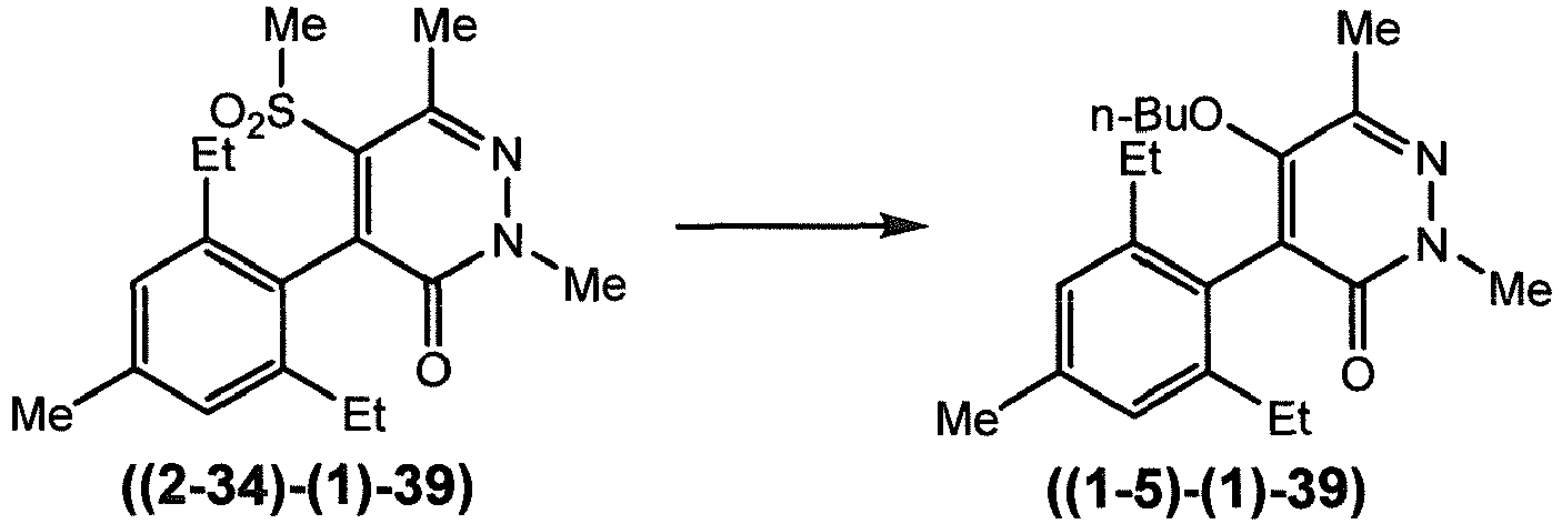 Figure imgb0205