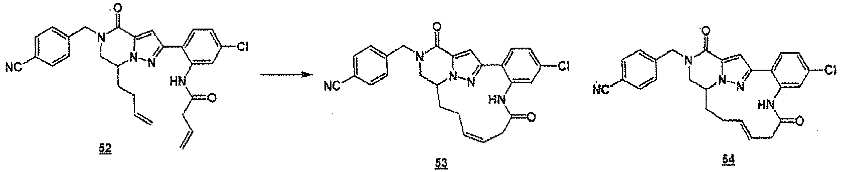 Figure imgb0101