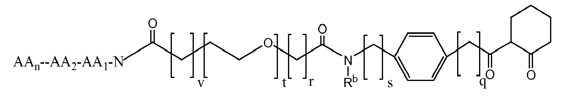 Figure imgb0144