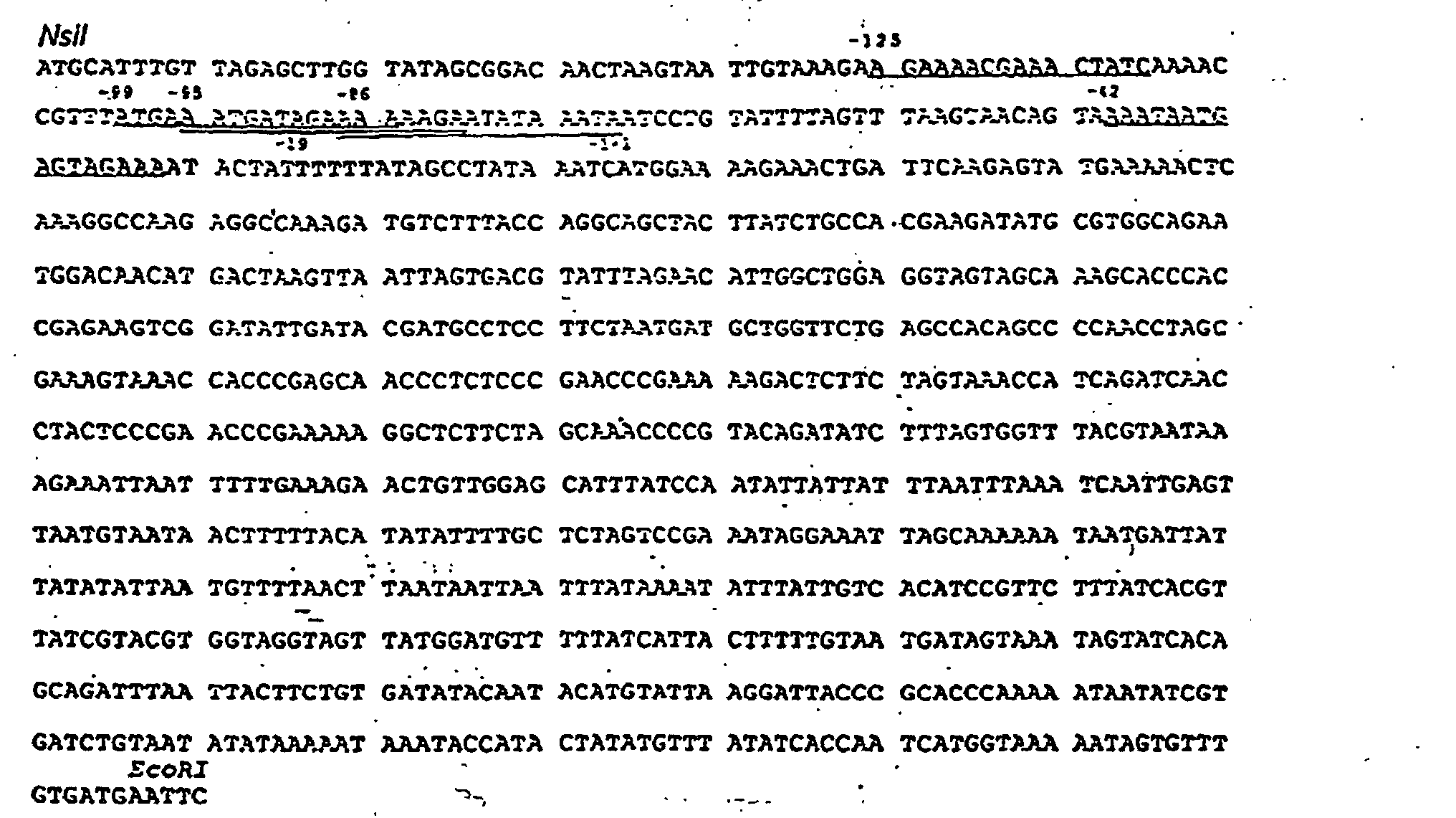 Figure 00540001
