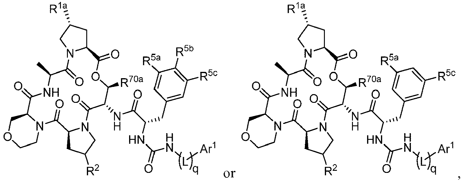 Figure imgb0017