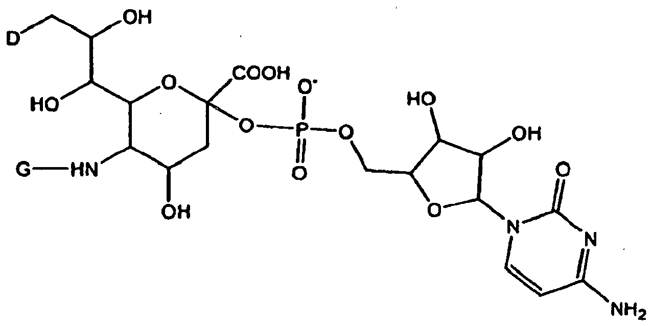 Figure imgb0116