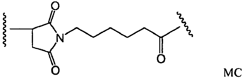 Figure imgb0004