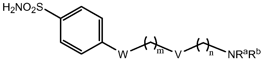 Figure imgf000005_0001