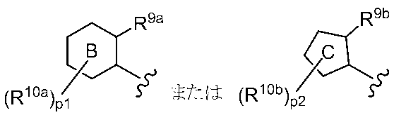 Figure JPOXMLDOC01-appb-C000041