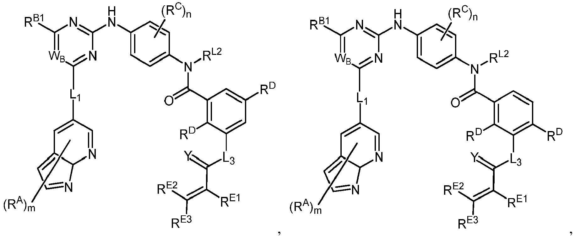 Figure imgb0196
