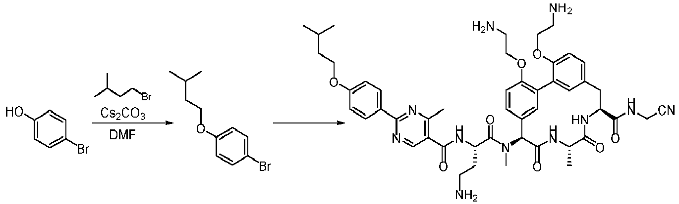 Figure imgb0572