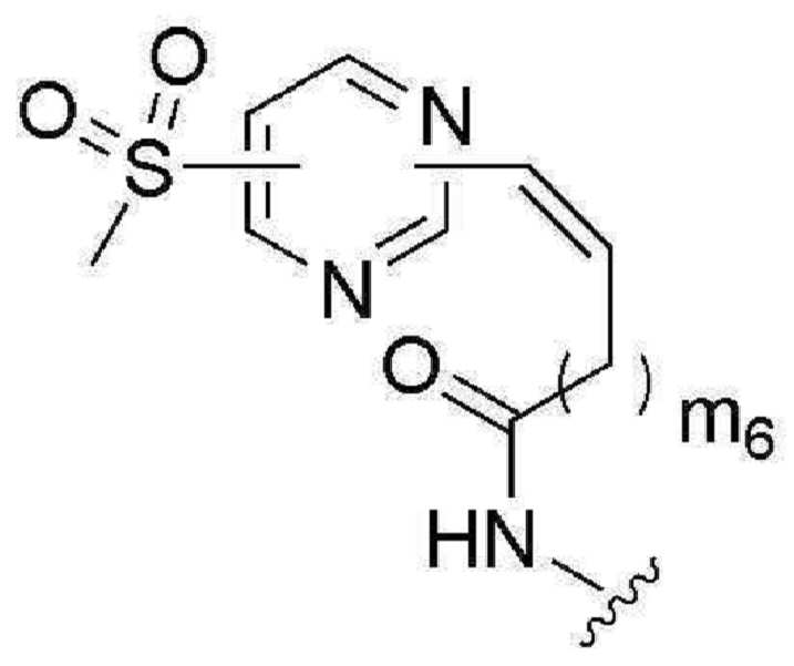 Figure pct00146