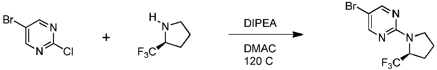 Figure imgb0135