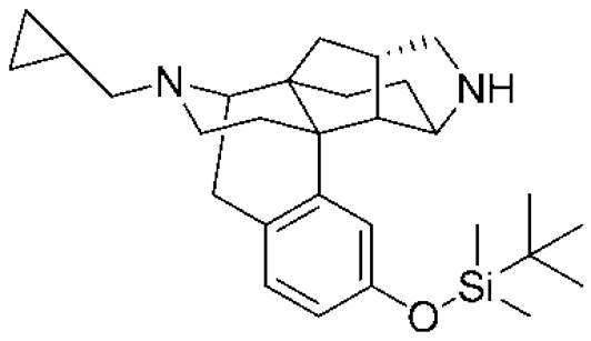 Figure JPOXMLDOC01-appb-C000016