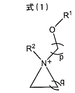 Figure JPOXMLDOC01-appb-C000003