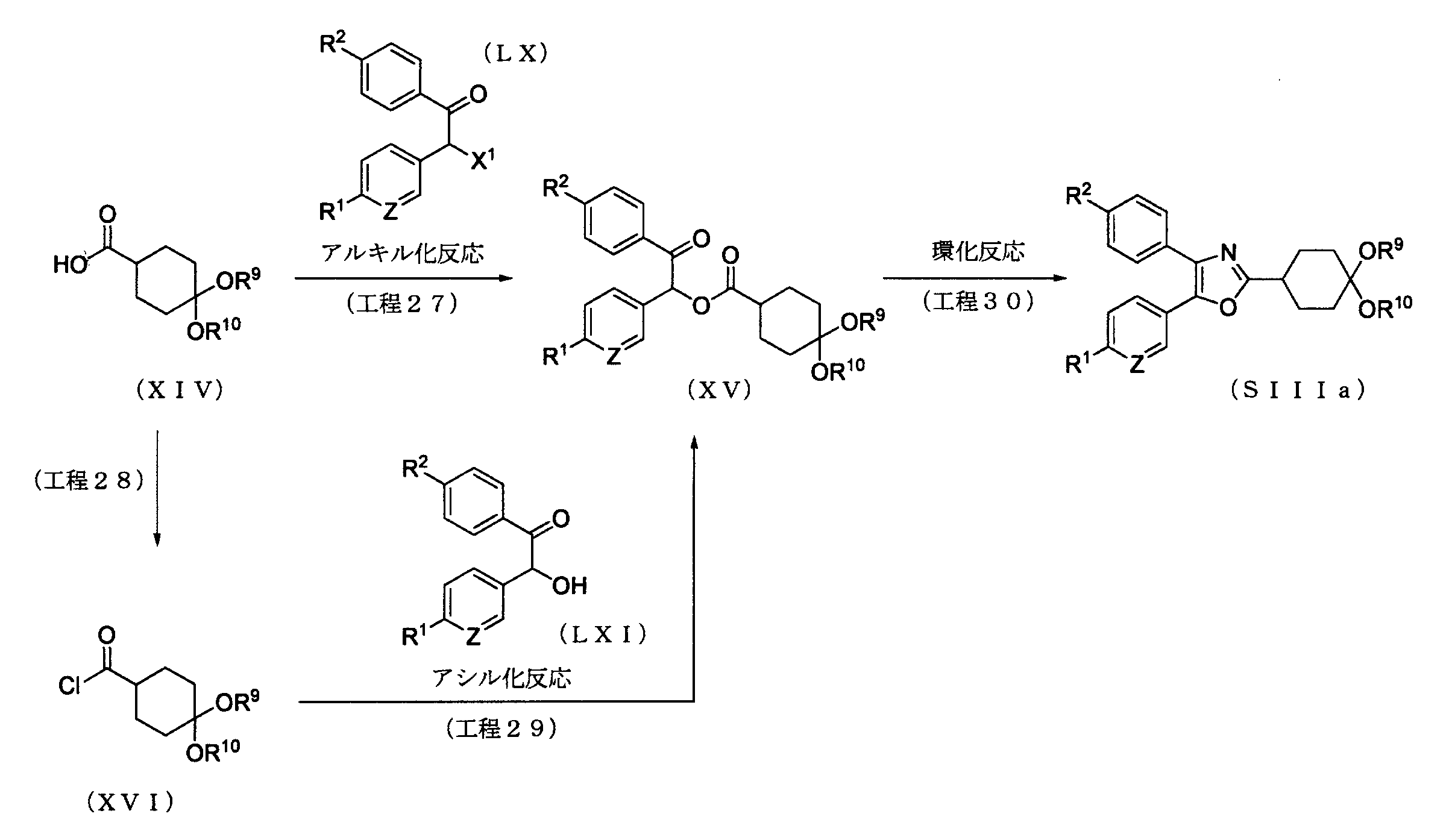 Figure JPOXMLDOC01-appb-C000028