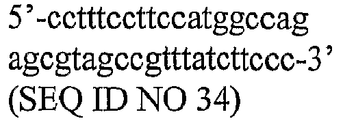 Figure imgb0020
