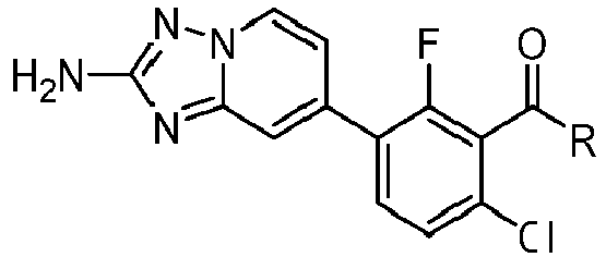 Figure imgb0216