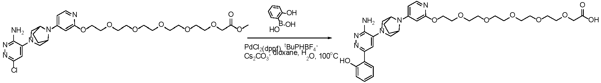 Figure imgb0843