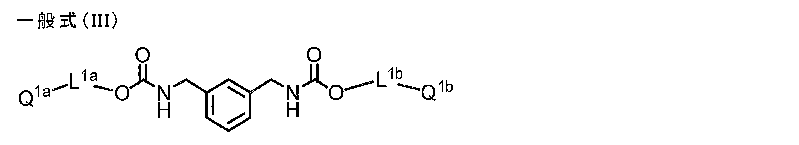 Figure JPOXMLDOC01-appb-C000016