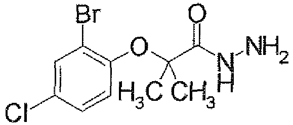 Figure imgb0078