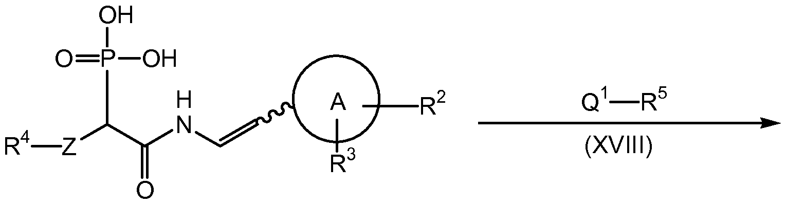 Figure imgf000011_0002